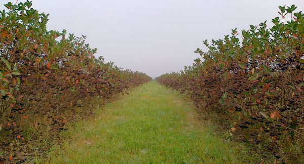 20100913085